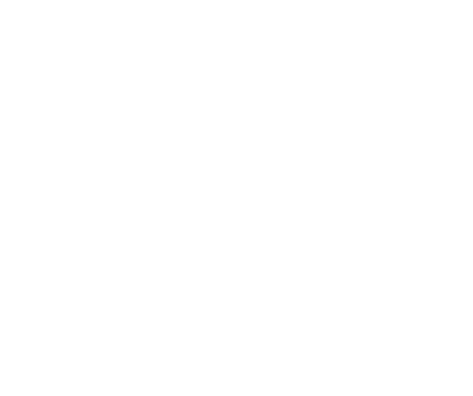 Logo_KW_weiß_ohne_Germany